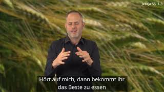 Platzhalter-Bild fuer YouTube-Video